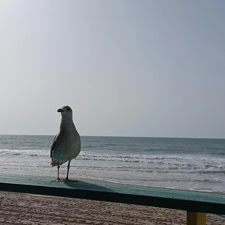 Apartamento Porvenir Centro *