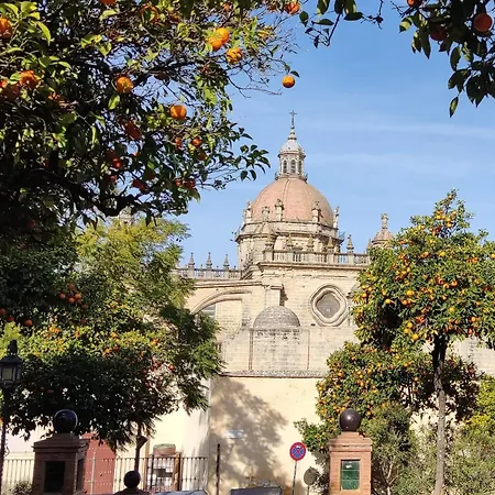 Porvenir Centro Apartamento Jerez de la Frontera