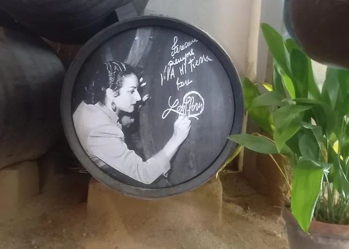 Porvenir Centro Appartement Jerez de la Frontera