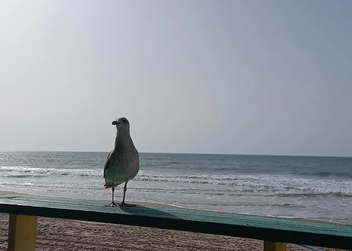 Apartmán Porvenir Centro *